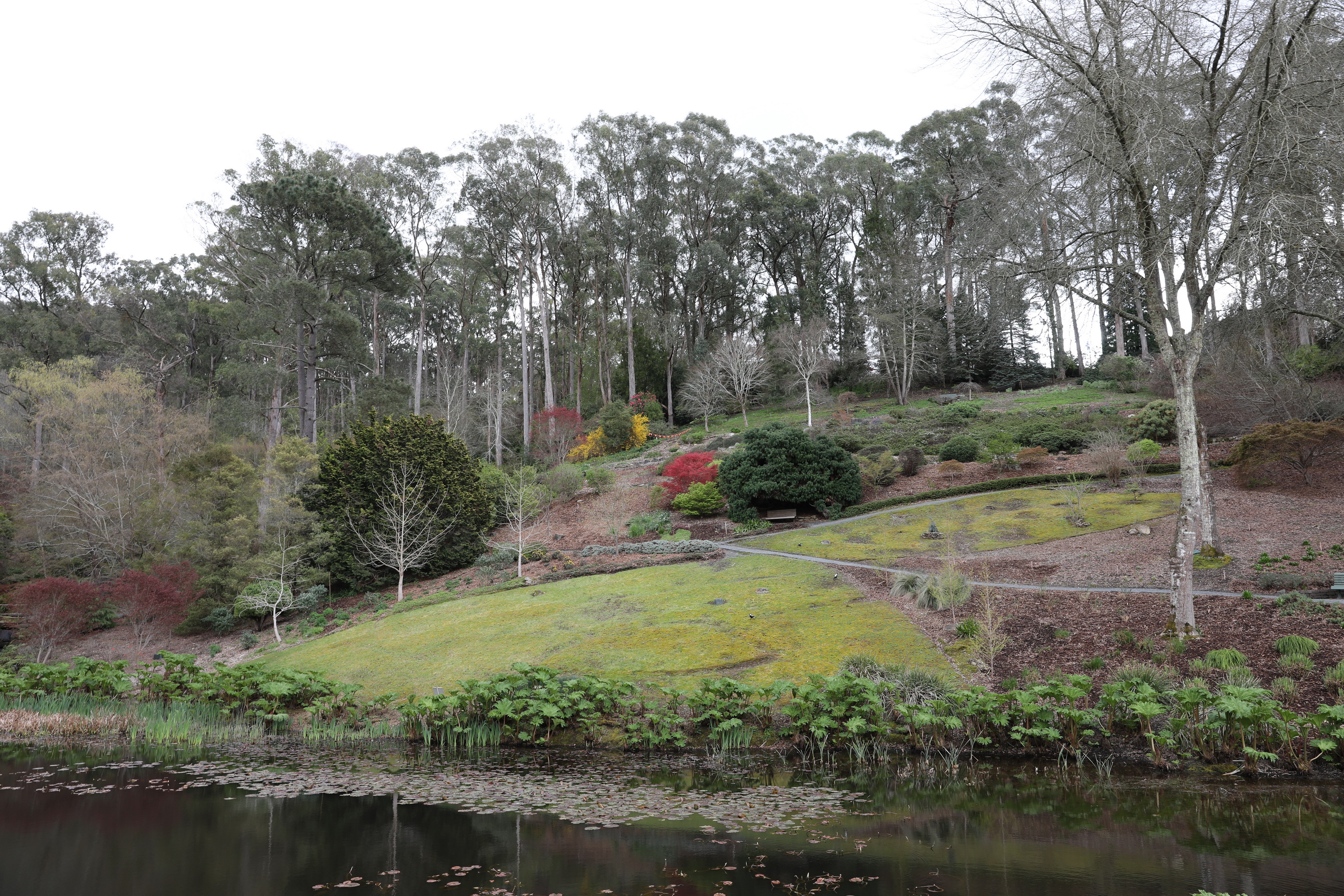 2019 09 21 14 48 54 Canon EOS 5D Mark IV 0004